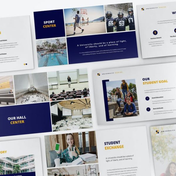 Slides PowerPoint1 (100)